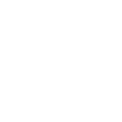 Driver-Icon