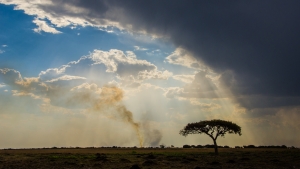 Safer Roads are Being Paved in Zambia