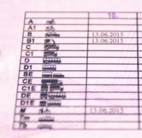 Vehicle License Categories